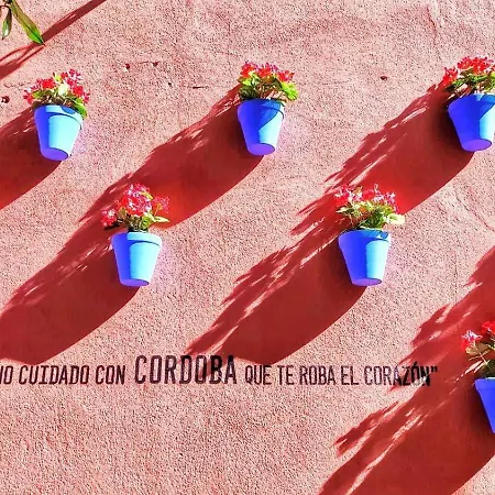 Flor De * Córdoba