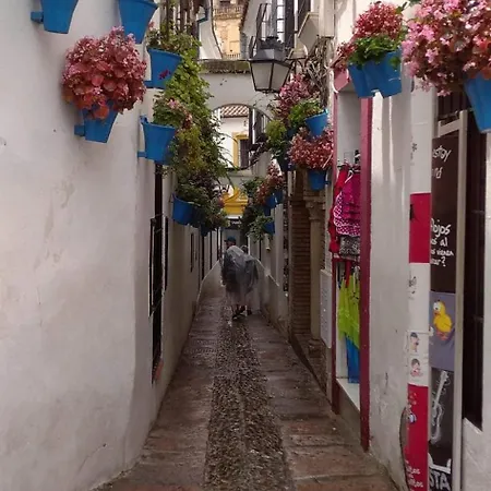 Apartmán Flor De Córdoba